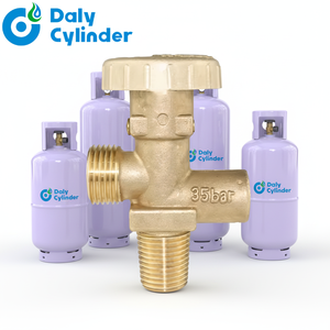 Válvula Manual para Cilindro <span class=keywords><strong>de</strong></span> <span class=keywords><strong>Gas</strong></span> LPG Tipo F - Marca DALY, Tamaño <span class=keywords><strong>de</strong></span> Puerto 1/4 para Quemador <span class=keywords><strong>de</strong></span> Propano, 1 Año <span class=keywords><strong>de</strong></span> Garantía, OEM/ODM Personalizado - Product Image 2