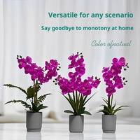 Ensemble de plantes en pot de fleurs de phalaenopsis de style nordique, ornement de bureau multi-pièces, décoration de maison en plastique, Noël, mariage