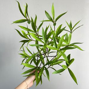 Ramas de árboles artificiales Meng Jie de 30cm-100cm, plantas de follaje de seda de PVC para decoración interior y exterior - Product Image 3
