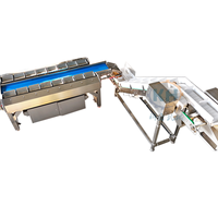 Machine de traitement automatique haute efficacité en acier inoxydable 304 pour durian, volaille, viande et fruits