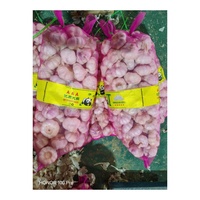 Ail frais chinois 1kg, emballage carton, prix de gros, fournisseur chinois de premier plan, ail blanc frais