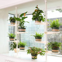YIJIALE Étagère à plantes multi-niveaux en métal, support moderne pour pots de fleurs, présentoir de fleurs, type sur pied pour jardin, support de présentation de plantes d'intérieur