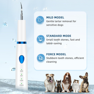 <span class=keywords><strong>Kit</strong></span> de Limpieza Dental Eléctrico Ultrasónico Multifuncional de Acero Inoxidable para Mascotas - Suministros de Limpieza para Mascotas - Resistente al Agua IPX7 - Elimina el Sarro y la Placa - Product Image 6