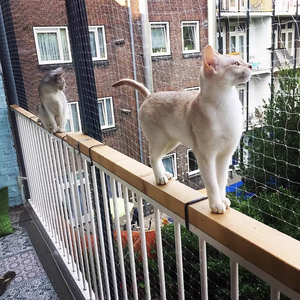 Valla de Seguridad Transparente de Monofilamento de Nailon Anticaídas para Balcones y Ventanas, Malla <span class=keywords><strong>Invisible</strong></span> para Mascotas, Red para Gatos - Product Image 3