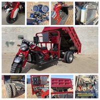 Camión Volquete Motorizado de 5 Ruedas con Carrocería Abierta CHL, Certificado EEC, 300cc, 55-70km/h, Alta Capacidad de Carga