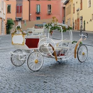 Calèche de mariage de luxe avec auvent Chariots à chevaux Citrouille de mariage Remorque à chevaux - Product Image 3