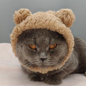 かわいいふわふわポリエステルパンダのクロシェ編みハロウィン無地冬クリスマス猫犬ペット帽子 - Product Image 3