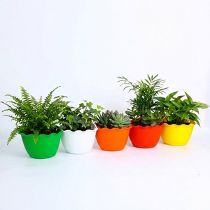 High Quality PP Plastic <b>Wall</b> Mounted Flower Pots Dual Hole Balcony Fence Planters Colorful <b>Hanging</b> <b>Baskets</b> Bulk Supplier - Product Image 1