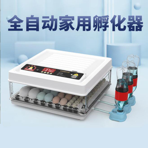 Incubateur intelligent entièrement automatique, incubateur domestique, couveuse de pigeons, perroquets, éclosion, fabricant <span class=keywords><strong>d</strong></span>'œufs - Product Image 3