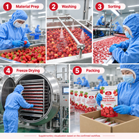 HALAL Gezoete Gefreeze-droogde Hele Aardbeien 10kg Karton Groothandel Bulk Klaar om te eten Fruit Snack 24 Maanden Houdbaarheid voor Detailhandel