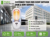 Vente Flash - Diffuseur d'Arômes Prêt à Expédier - Fabrication Professionnelle - Service OEM ODM Personnalisé Direct d'Usine
