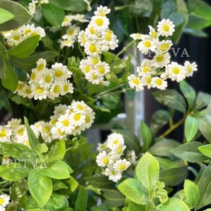 Bán buôn hoa nhân tạo sắp xếp, tùy chỉnh bàn đám cưới trung tâm với satin Ribbon Bow, số lượng lớn có sẵn - Product Image 5