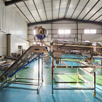 Nouvelle machine d'assaisonnement automatique 1000 kg/h pour la transformation de snacks et de chips