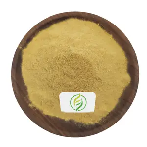 Groothandel 30% Polysacchariden Hericium Erinaceus Extract Biologische Leeuwenmanen Paddestoel Extract Poeder Leeuwen Manen Extract Poeder