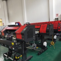 Impresora de Transferencia por Sublimación para Camisetas Myjet 60cm I3200 con Tinta Eco Solvente, Plotter de Vinilo Autoadhesivo