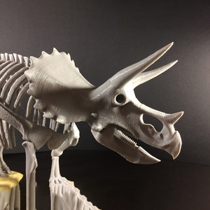 SLA SLS 3D In Ấn Tùy Chỉnh Tạo Mẫu/Khối Lượng Thấp Kinh Doanh Khủng Long Mô Hình Đồ Chơi Nhà Sản Xuất Bán Buôn Dino Hình Set Cho Trẻ Em - Product Image 5