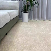Tapis Shaggy doux épaissi rouleau tapis mur à mur tapis de sol anti-dérapant pour la maison chambre salle de conférence théâtre événement coureur