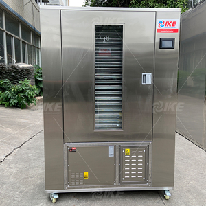 Hot bán 220V thương mại thép không gỉ bơm nhiệt Máy sấy ike CE thực phẩm dehydrator cho trái cây và rau quả - Product Image 2