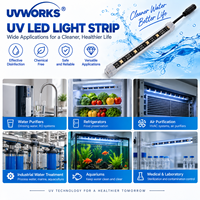 Bande LED UV étanche encapsulée pour la circulation de l'eau potable, idéale pour les dispositifs d'assainissement de l'eau potable
