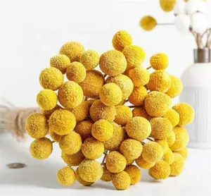 R-1030 Bán Buôn Hoa Khô Chất Lượng Cao <span class=keywords><strong>Billy</strong></span> Nút Vàng Bóng Bó Bảo Quản <span class=keywords><strong>Billy</strong></span> Nút Cho Trang Trí - Product Image 1