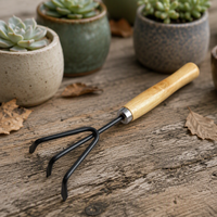 Set di 3 Mini Attrezzi da Giardino all'Ingrosso con Manico in Legno Naturale, Paletta, Vanga e Rastrello in Acciaio al Carbonio