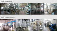 Ligne de production automatique de raffinage d'huile de cuisson 1-100 TPD avec machine de désodorisation, déwaxage, déacidification, dégommage et blanchiment