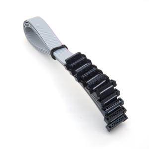 Connettore personalizzato da 10pin 2.54mm gruppo cavo a nastro piatto da donna - Product Image 1