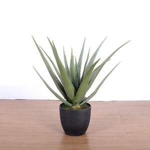 Offre Spéciale succulente artificielle en pot petit Pot Faux aloès décoration de la maison <span class=keywords><strong>bureau</strong></span> réaliste arbre <span class=keywords><strong>Aloe</strong></span> <span class=keywords><strong>Vera</strong></span> plante - Product Image 6
