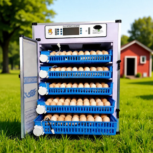 Incubateur à œufs automatique Agricon PVC 530x530x700mm 220V 70-600 œufs Taux d'éclosion <span class=keywords><strong>de</strong></span> 98% pour poulet/canard/<span class=keywords><strong>caille</strong></span> - Product Image 2