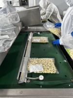 Ail frais pelé gousses d'ail blanches normales pelées dans un emballage sous vide gousses d'ail de haute qualité meilleur prix