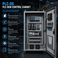 Gabinete de Control PLC OEM Personalizado con Comunicación Remota HMI IO y Programación para Integración de Equipos Industriales 24VDC 380V
