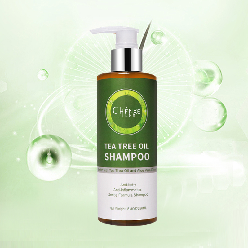 OEM Green Tea Shampoo Hair Care Highly Effective for anti-Dandruff, Softening and Nourishing Hair