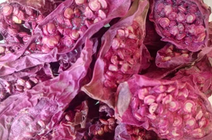 Té de Hierbas Saludable, Rodajas de Fruta Seca de <span class=keywords><strong>Opuntia</strong></span> Ficus-indica, Nopal, Cactus, en Venta - Product Image 3