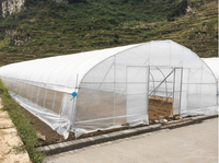 Serre agricole tunnel à portée unique 8x12m, 32mm, avec structure métallique pour culture hydroponique de tomates