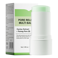 Baume Solide Apaisant et Réparateur Visage OEM à l'Extrait de Cactus pour Soulager les Pores, Calmer les Rougeurs et Hydrater