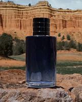 Parfum pour homme de marque originale, vente en gros, luxe, haute qualité, 100 ml, eau de Cologne, parfum boisé, longue durée, vaporisateur, usage quotidien