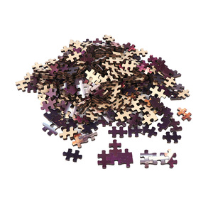 Puzzle éducatif en bois coloré de 260 pièces Planet <span class=keywords><strong>IQ</strong></span> <span class=keywords><strong>Fit</strong></span> pour enfants de 3 ans et plus - Product Image 4