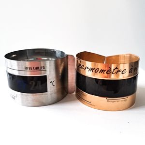 Lecture rapide Sécurité Ménage En Acier Inoxydable Boisson en Métal De Bouteille De Vin Refroidisseur Thermomètre - Product Image 5