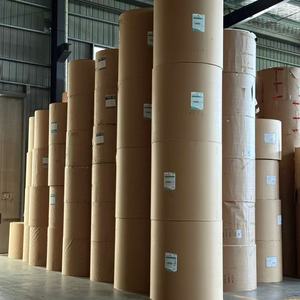 PE Coated Paper Roll for Moisture-Proof Food Packaging Solutions 150-320gsm - Product Image 5