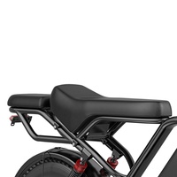 Bicicleta Eléctrica de 48V 20Ah con Neumáticos Anchos, 250W, Modelo HEADEER BK20, Disponible en Almacén de la UE