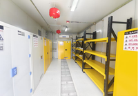 Armoire de stockage de produits chimiques dangereux en métal SCEELAB pour usage industriel et en laboratoire
