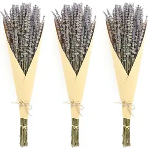 Lavendel getrocknete Blume Premium Bundles 18 bis 22 Zoll Trocken blume Lavendel 1 Bundle Pack für Hochzeit Home Decor