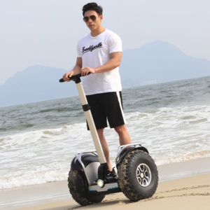 Scooter Autoequilibrado de 20 Pulgadas, Carga de 150 kg, 20 km/h, Stock en EE. UU., Odeway - Product Image 1