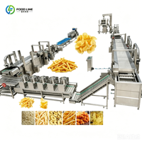 Complete aardappelchips- en frietverwerkingsinstallatie met was-, snij-, friteer- en verpakkingsfunctie