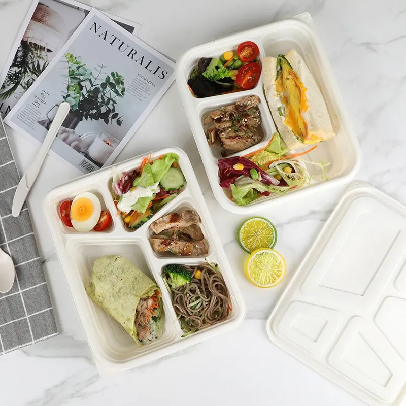 Bento-caja de almacenamiento de alimentos, contenedor con 3 compartimentos