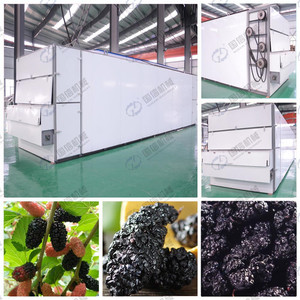 สายการผลิตอบแห้งแบบสายพานโรสแมรี่กลุ้มสดแบบอัตโนมัติ - Product Image 4