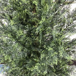 Tùy Chỉnh Trong Nhà Ngoài Trời Vườn Trang Trí 6ft Faux <span class=keywords><strong>Evergreen</strong></span> Cây Thông Giả Nhân Tạo Màu Xanh Lá Cây Tuyết Tùng Cây Bách - Product Image 3