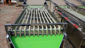 เครื่องคัดแยกมันสำปะหลังเนกทารีนชอกสตอเบอร์รี่ส้มเครื่องคัดแยกมันสำปะหลังแบบออร์บิทัล - Product Image 4