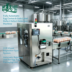 Stable Running Egg Appearance And Label Detection Machine with Automatic Reject System for Egg Processing Factory - Product Image 3