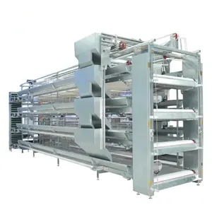 Supply Completely Automatic Laying Hen Egg Layer Battery H Type Chicken Cages System